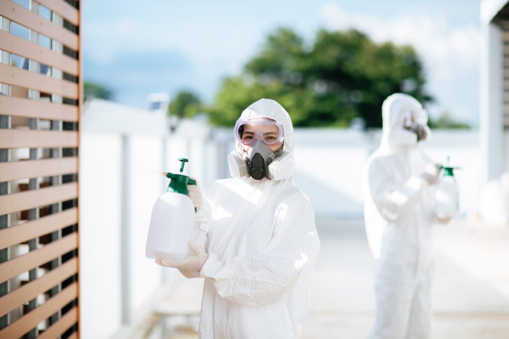 How Much Does Pest Control Cost in Louisville
