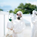 How Much Does Pest Control Cost in Louisville