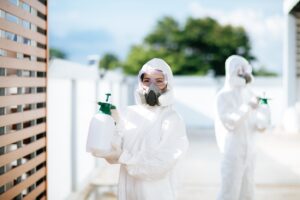 How Much Does Pest Control Cost in Louisville