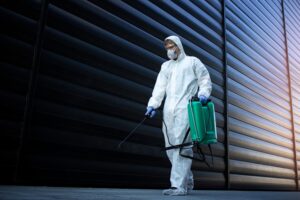 Protecting Your Home with Professional Pest Control in Louisville