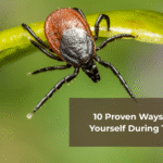 tick season in louisville