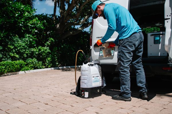termites control