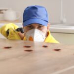 How to Identify Common Household Pests in Louisville